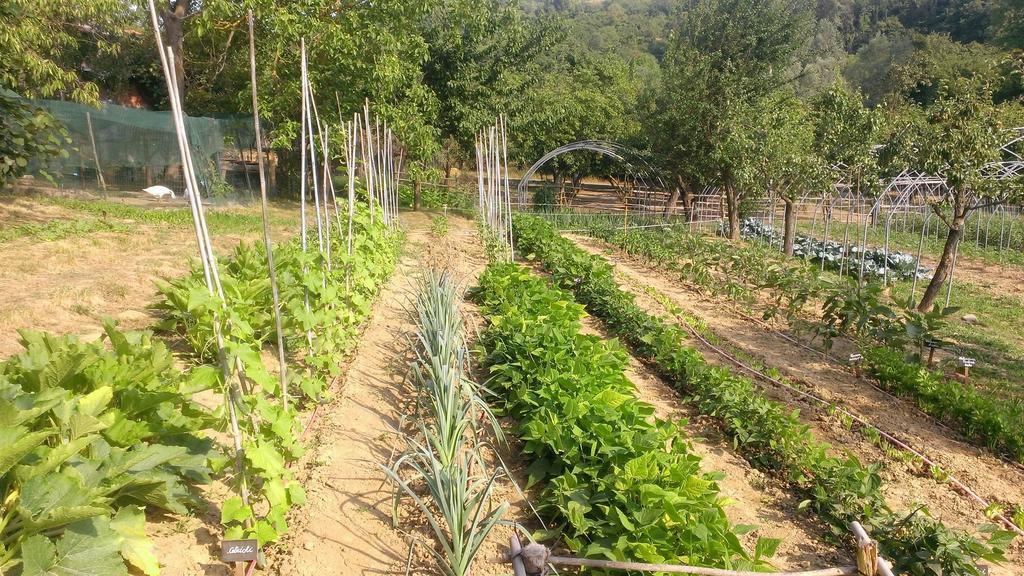Cascina Knec Farm stay *